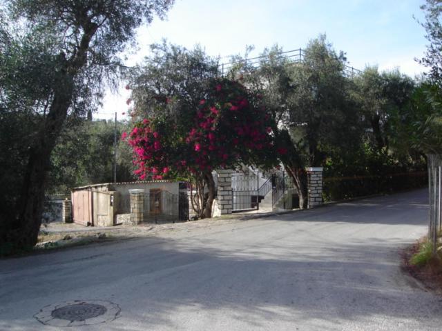 Natsios Apartments Vlachopoulátika المظهر الخارجي الصورة