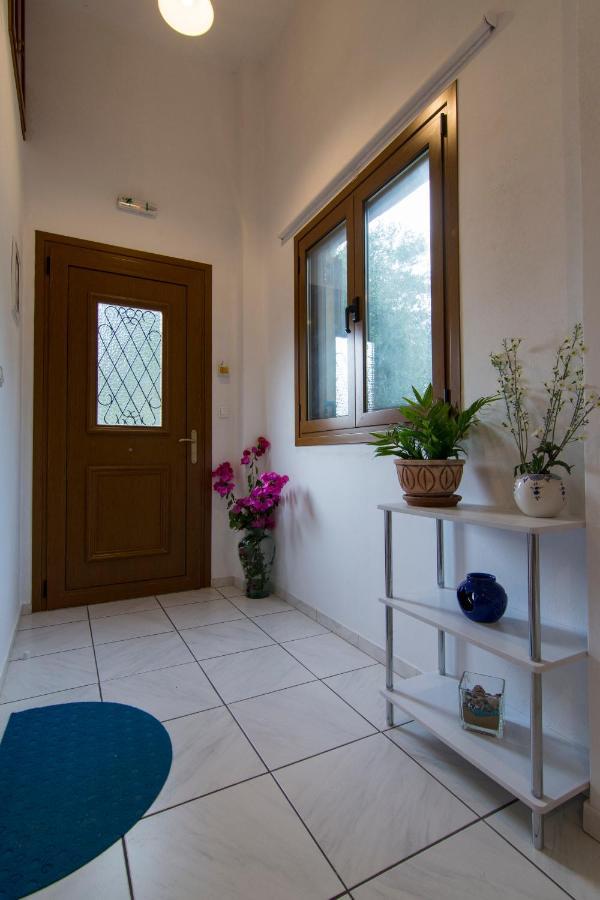 Natsios Apartments Vlachopoulátika المظهر الخارجي الصورة